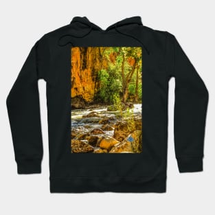 Lost in Yellowstone Hoodie